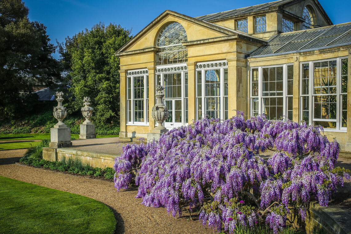 Syon Park House and Gardens Syon Park House and Gardens